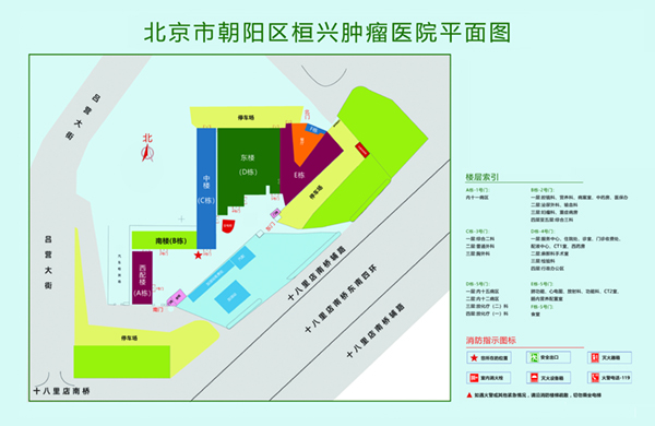 悠悠骚屄老阿姨肏屄视频北京市朝阳区桓兴肿瘤医院平面图